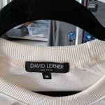 David Lerner  shirt medium  Photo 2
