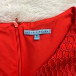 Antonio Melani Women’s Sleeveless Dress Size 10 Photo 5