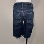 American Eagle Bermuda Shorts Photo 1