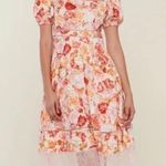 Rachel Parcell Dress Photo 0