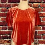 Madewell  oversize velvet blouse Photo 0