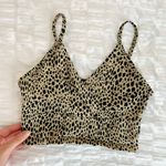 Brandy Melville Cropped Tank Photo 2