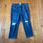 Lane Bryant flex magic mid rise signature straight leg jeans size 16 Photo 3