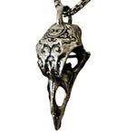 Gothic Raven Skull Pendant Necklace with Ornate Scrollwork Silver Photo 10