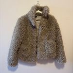 ZARA  Teddy Coat Photo 0
