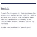 The Pants Store NWOT Jade Mini V-Neck Eyelet Cut Out Dress size Small Photo 2