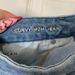 American Eagle Distressed Curvy Mom Jeans Photo 3