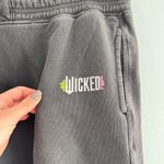Aerie  x Wicked Big Chill Jogger Smoked Grey XL Photo 7