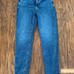 Aerie American Eagle Curve Love Mom Jeans Photo 4