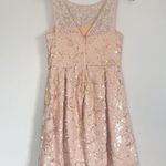 Anthropologie Eva Franco Sugarberry Sequin Dress Size 0 Photo 5
