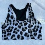 Terez NWT  high shine leopard sports bra sz L Photo 0