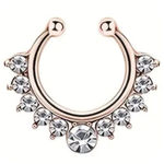 Rose Gold Clip Photo 0