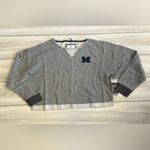 Colosseum Michigan Magnum Scoop Neck Cropped Pullover Sweatshirt Grey XL NWT Photo 3