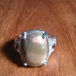 Venus Jasper and Mozambique Garnet Platinum Bond Ring (Size 9) Photo 2