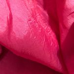 CJ Laing Linen Lined Skirt W/Embroidered Frogs Size 12 Photo 10