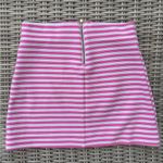 Lilly Pulitzer Lily Pulitzer Tate Pink and White Striped Skirt Photo 3