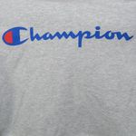 Champion Spellout Gray Cropped Hoodie Photo 2