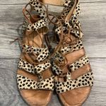 Dolce Vita Cheetah Print Sandals Brown Size 8.5 Photo 4