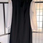 Calvin Klein NWT$134 size 10  black dress Long Puff white Lace Sleeve bow on neck Photo 0