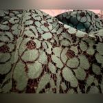 New York & Company lace skirt Photo 1