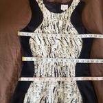 Parker  Dress Size Medium Womens Sheath Bodycon Animal Print Wedding Gues… Photo 10