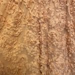 Adrianna Papell Sleeveless Doe Rosette Chiffon Tulle Embellished Blush Gown -4 Photo 3