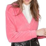 & Other Stories & Other Stories Velour V-Neck Long Sleeve Pullover Velvet Sweatshirt Pink Size 2 Photo 0