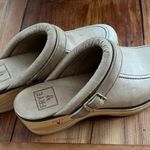 Frye Like New Gorgeous Clogs With Buckle Photo 2