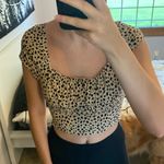 Lottie Moss  Leopard Print Crop Top Photo 4