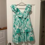 Lilly Pulitzer Ritamarie V-Neck Cotton Ruffle Dress Spearmint Kiss My Tulips 12 Photo 2