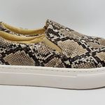 Bamboo Womens Snakeskin Platform Slip On Sneakers Shoe Size 8.5 Photo 0