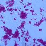 Hanes Vintage 90s Cotton Pink Tie Dye Crewneck Sweater Photo 2