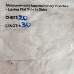 Daytrip  Buckle Sweater Womens Medium Green Cold Shoulder Chunky Knit Pullover Photo 7