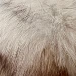 Luxury Vtg Ivory Fox Fur Satin Rhinestone Wide Brim Formal Church Hat Party White Photo 6