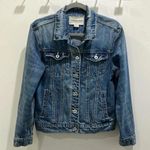 Pilcro  Anthropologie Denim Distressed Medium Wash Jean Jacket Sz S Photo 0