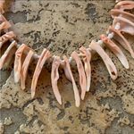 Vintage 90s Hawaii Pink Salmon Puka Shell Branch Necklace Photo 1