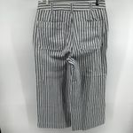 Madewell Emmett Wide-Leg Crop Pants Button Front High Moe Stripe Blue White 30 Photo 5