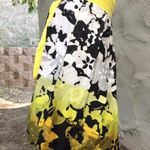 Black Poodle Skirt Size 24 Photo 3