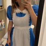 A.L.C. In Wonderland Costume Photo 0