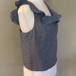 Hayden Sleeveless Blue & White Polka Dot Smocked Ruffle Top Large Photo 1