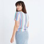 Madewell  Novel Tie-Front Button Top in Flagstaff Stripe Photo 1