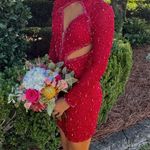 Amarra Red Formal Dress Size 0 Photo 0