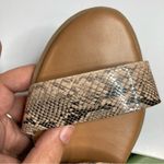 LC Lauren Conrad snake Skin sandals size 8/8.5 Photo 7