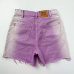 BDG Longline Carpenter Shorts Photo 2