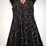 H&M  Black Lace Dress with Soft Pink Underlay Photo 2
