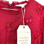 Ivy City Co. Embroidered Tulle Midi Red Floral Beaded Short Sleeve Size XS Photo 5