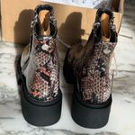 Seven7 New in Box Seven 7 Brown Snake Moto Boot Size 7 Photo 7