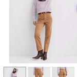 Loft Deep Burgundy Corduroy Straight Leg Photo 3