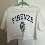 Brandy Melville Firenze Crop Top Photo 0