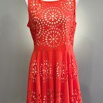 Aryeh CLEARANCE! Orange Laser Cutout A-Line Dress Size L EUC Photo 0